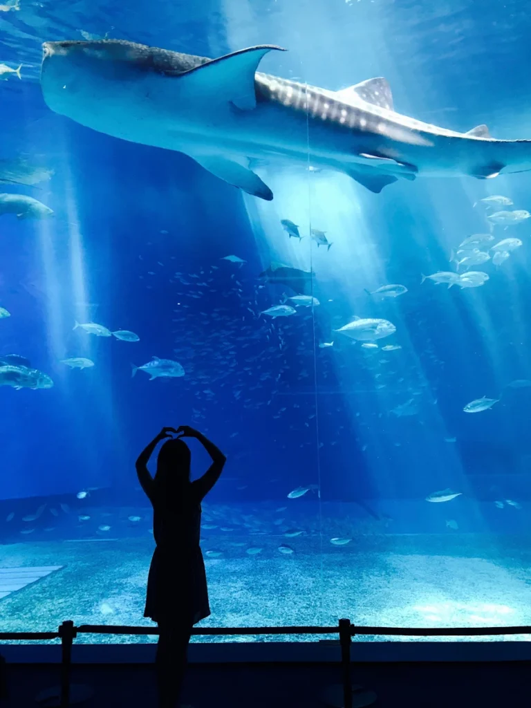 girl loves shark visiting an aquarium